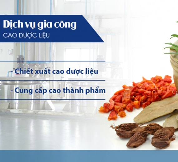 dịch vụ trường thọ bình dương